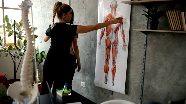 老师向学生讲解人体肌肉的解剖视频下载