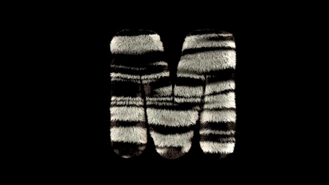 动画毛茸茸的动物园斑马的文本字体M视频素材