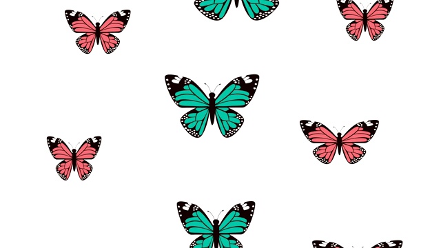 美丽的蝴蝶飞图案动画视频素材