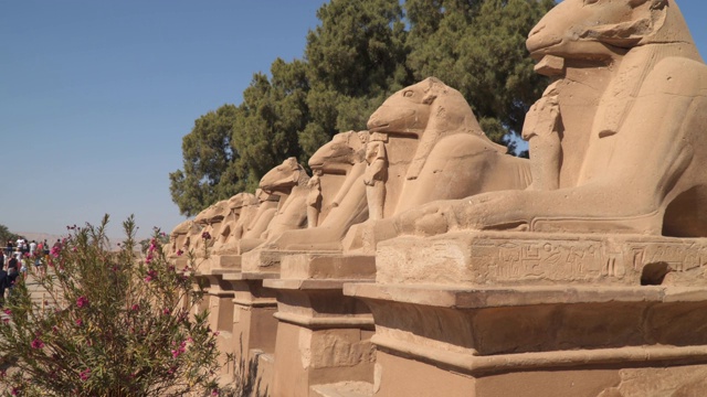 卡纳克神庙建筑群内的狮身人面像，公羊的头和狮子的身体视频素材