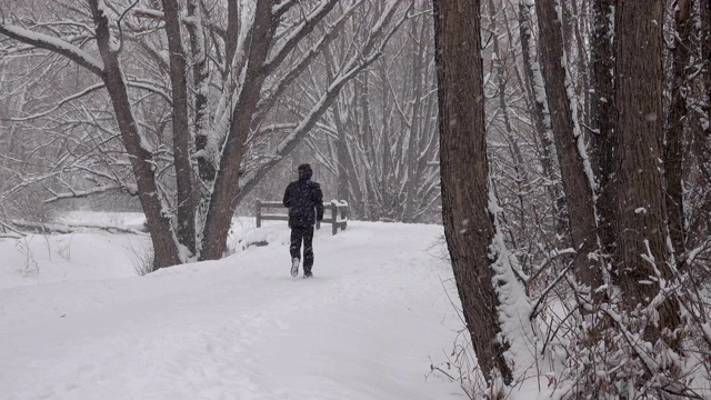 男人冬天跑步雪树排列的道路丹佛科罗拉多州视频素材