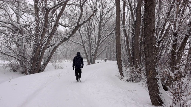 在科罗拉多州丹佛市冬季行走的人在雪树夹道上行走视频素材
