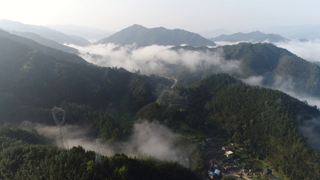 中国桂林，早晨的森林有雾视频素材