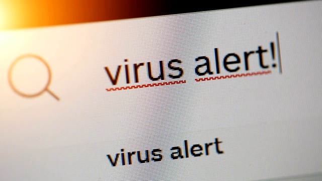 在web浏览器的地址栏或搜索栏上输入病毒警报视频素材