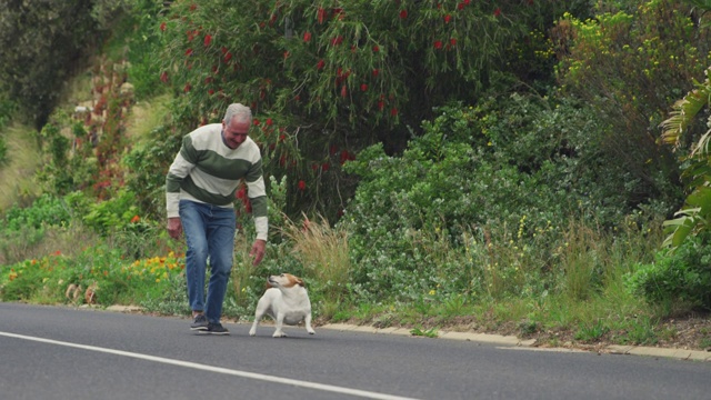 一个老人和他的狗在街上视频下载