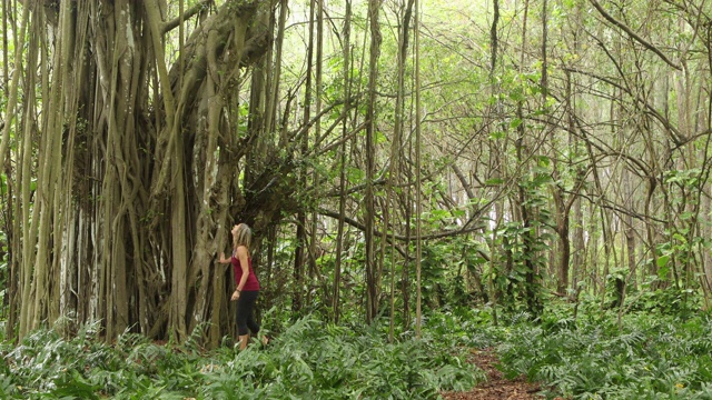 在夏威夷瓦胡岛森林中，一名女子走向榕树。视频素材
