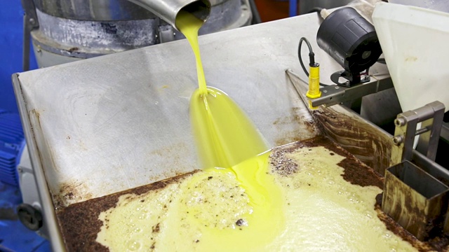 油滗在手工橄榄油工厂视频下载