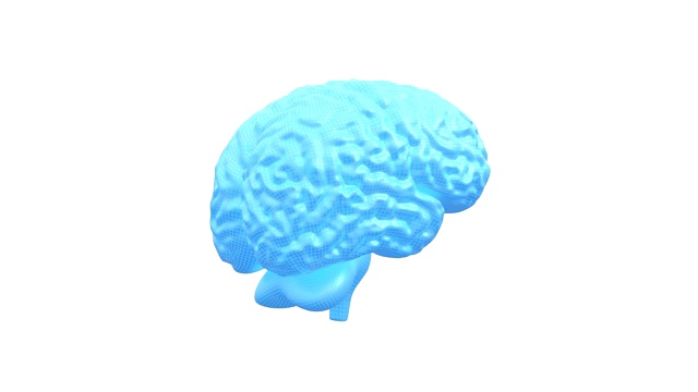 人脑3D，无缝循环视频下载