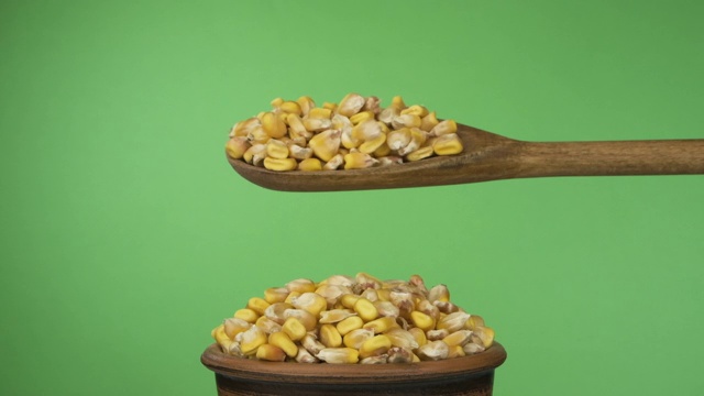 缓慢的运动。在粘土碗里，把木勺放在一堆种子上，谷物就能得到充足的睡眠。视频下载