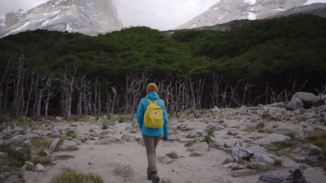 一个背着黄色背包的女人在看风景如画的潘恩国家公园视频素材