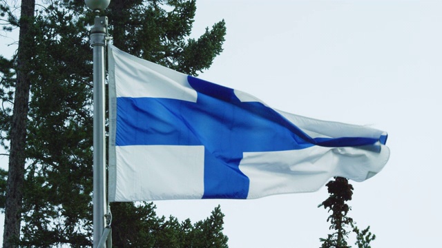 在一个阳光明媚的日子里，松树在风中飘扬的芬兰国旗的慢动作镜头视频下载