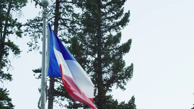 慢动作拍摄的法国国旗在风中吹拂松树在一个阳光明媚的日子视频素材