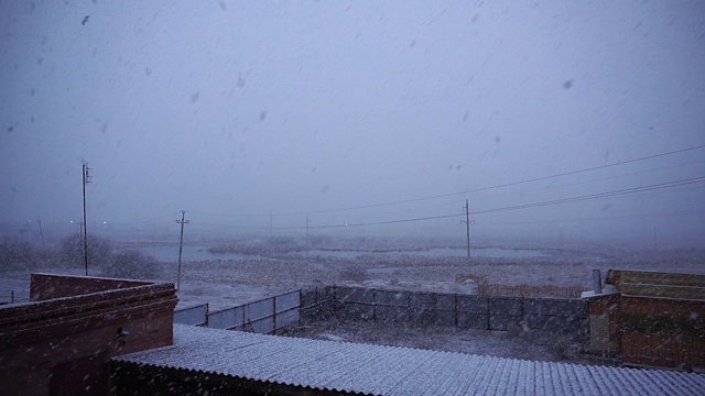 暴雪冬季场景背景。下雪的季节。冬天的西伯利亚，大雪视频素材