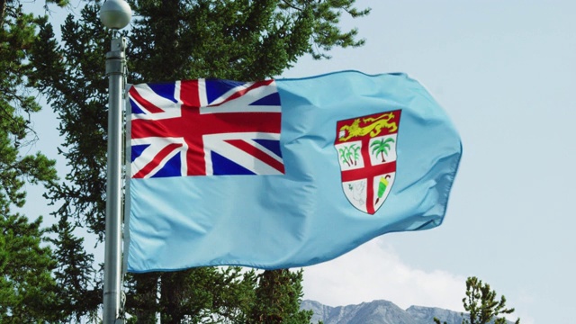 慢动作拍摄的斐济旗在风吹松树在一个阳光明媚的日子视频下载