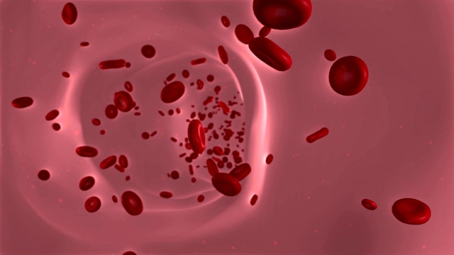 血管内有红细胞。关注前方。视频下载