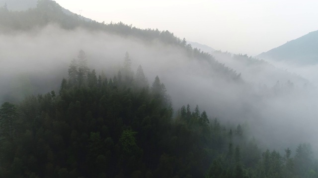 空中拍摄的雾在森林山坡桂林，中国视频下载
