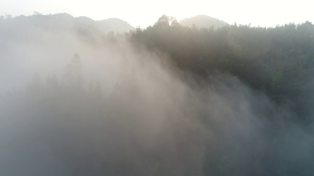 空中拍摄的雾在森林山坡桂林，中国视频素材