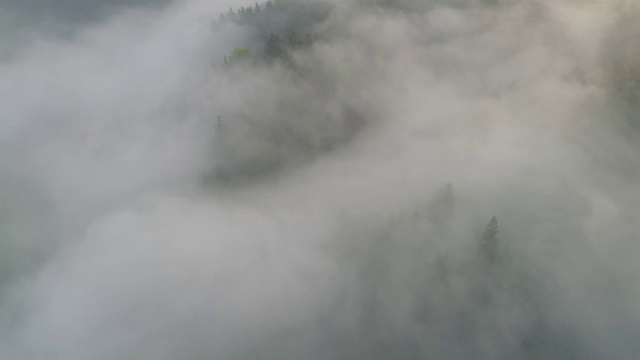 空中拍摄的雾在森林山坡桂林，中国视频素材