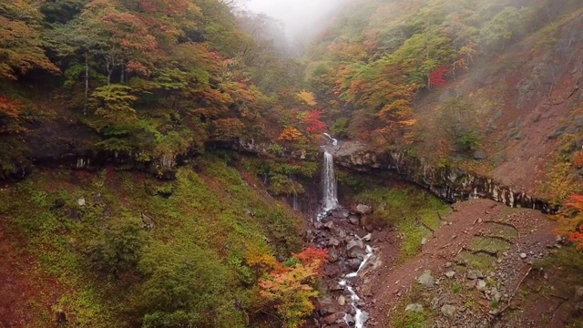 森林中的瀑布改变了颜色，在日本的长野森林，上高知，日本视频素材