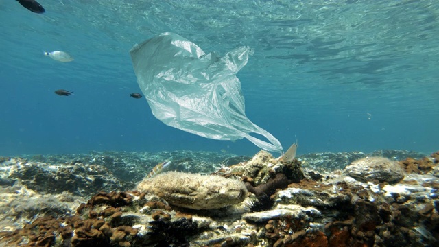 漂浮在海上的塑料袋视频下载