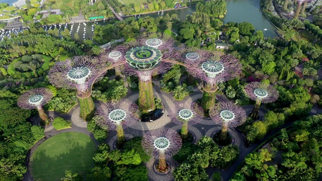 新加坡海湾/市中心中心花园的超级树林视频下载