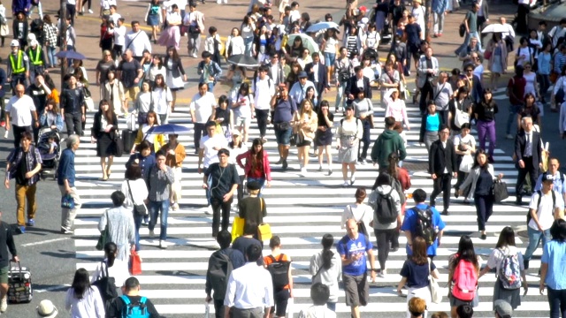 涩谷十字路口的人群行人视频素材