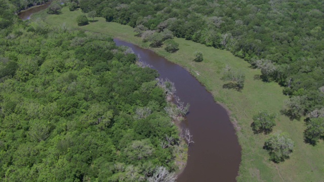 河流的鸟瞰图和绿色的河岸在德克萨斯州。视频素材