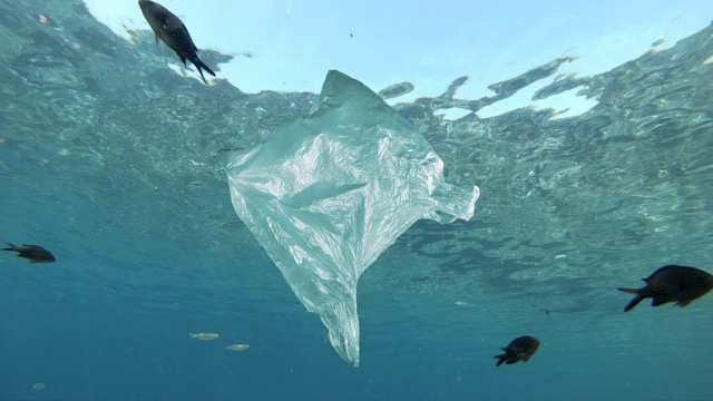 漂浮在海上的塑料袋视频素材