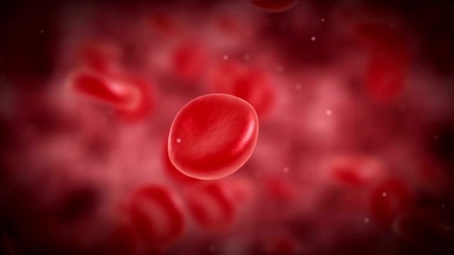 在静脉或动脉中流动的红细胞。3d渲染高清镜头。视频下载
