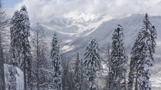 在冬季滑雪胜地的雪坡上为雪修饰的雪猫。无人机拍摄雪城的美景。鸟瞰图上的雪山滑雪场背景视频下载