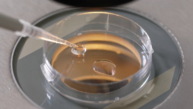 胚胎学家在培养皿中放置低温保护剂视频下载