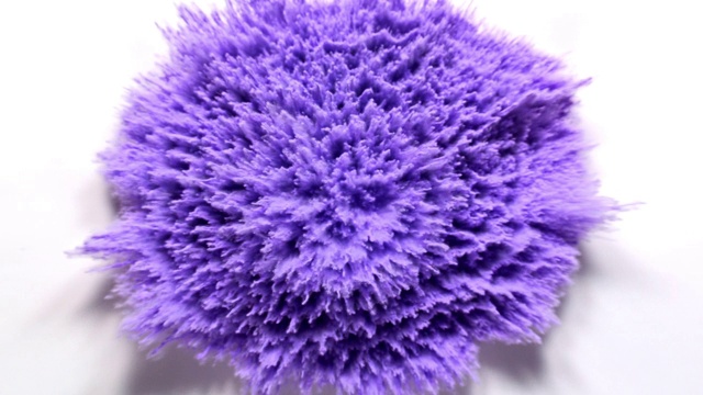 紫色的粉末在近距离和超级慢镜头中向相机爆炸，白色的背景视频下载