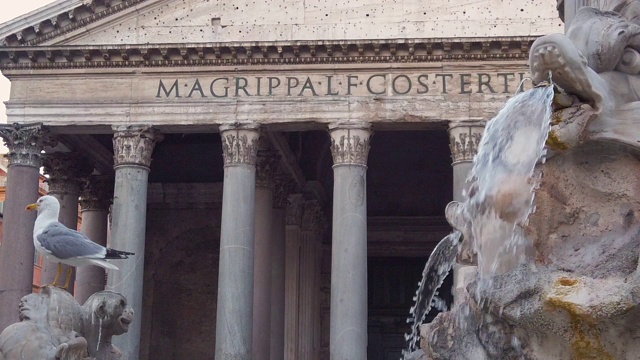 海鸥，喷泉和万神殿，罗马，意大利视频素材