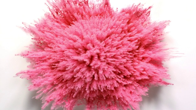 粉红颜色的粉末爆炸对相机近距离和超级慢动作,白色背景视频购买