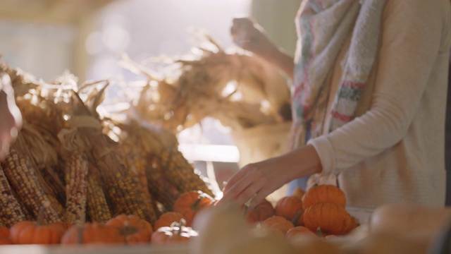 一个深褐色的女人在一个秋日的农贸市场检查微型南瓜视频素材
