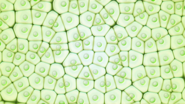 叶绿体真核细胞。显微镜下的无缝动画。植物细胞中的绿色显微结构。研究和基因工程。生物学和科学概念。转基因DNA循环视频。4 k视频下载