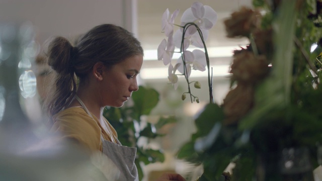 女花店老板创造了一个新鲜的兰花安排视频下载