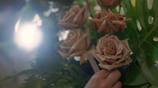 女花店老板把一朵玫瑰变成一束送给顾客视频下载