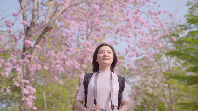 快乐的亚洲女游客在春花公园散步，在假日旅游中拍照休闲活动视频素材