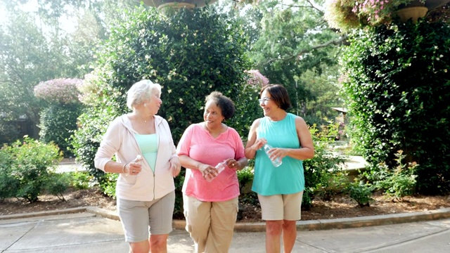 三个老年妇女在公园散步，聊天，大笑视频下载