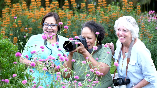 三位老年女性在公园里拍摄大自然视频下载