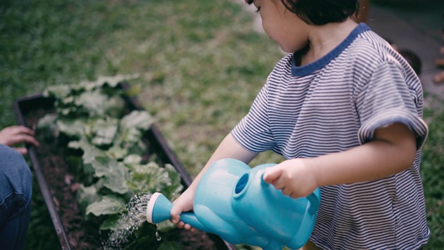 教男孩种菜和浇水视频素材