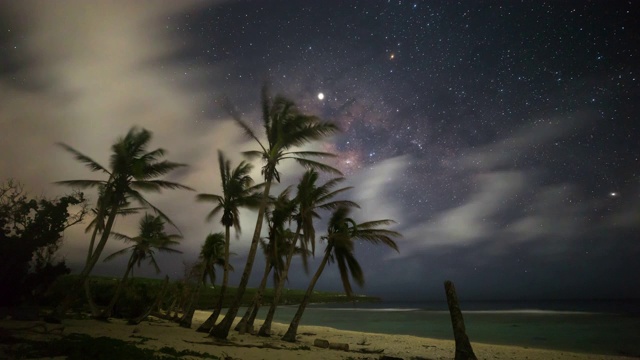 美国北马里亚纳群岛奥比扬海滩/塞班岛夜空下的棕榈树视频素材