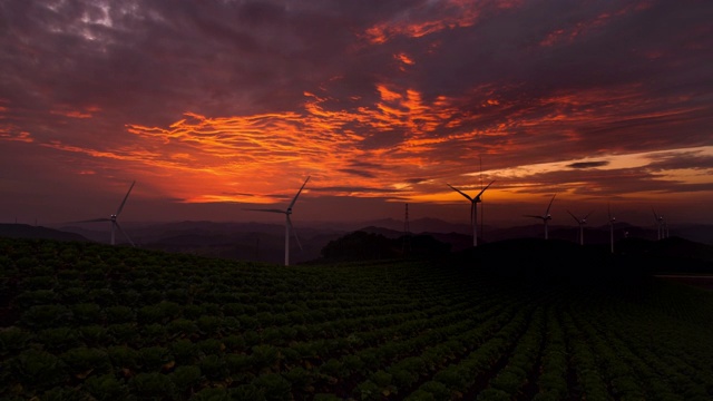 风力涡轮机和卷心菜田的日落/韩国视频下载