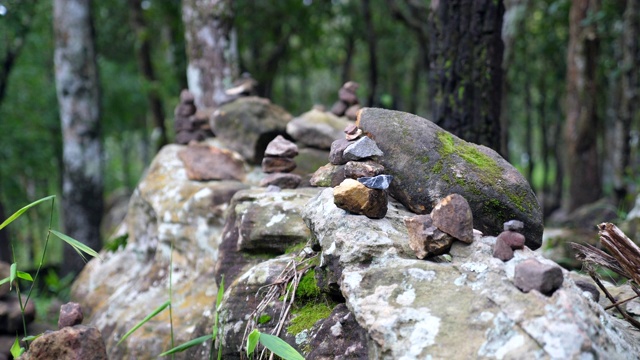 森林中的一堆石头视频素材