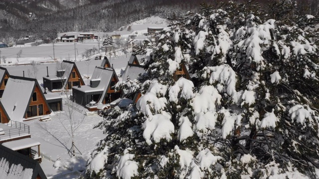 韩国江原道平昌郡的大沃利延冬季景色视频下载