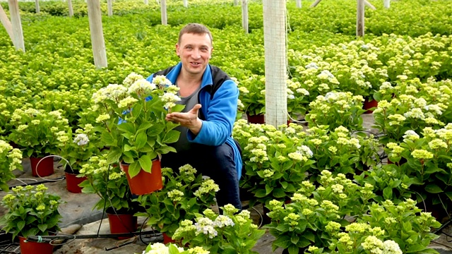 温室检查种植植物的男工人视频下载