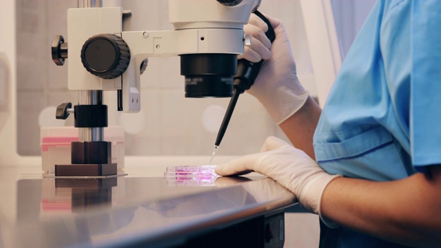 妇女在临床实验室使用医疗工具工作。视频素材