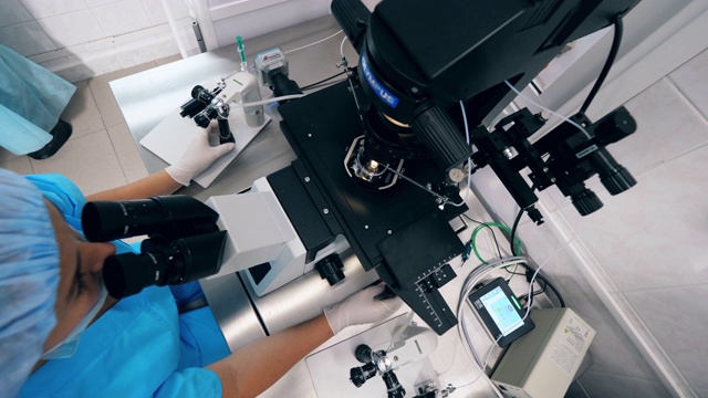 实验室工作人员在体外受精过程中使用显微镜。视频素材