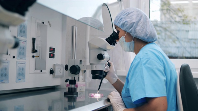 女医生在人工授精过程中使用医学显微镜。在科学实验室进行的人工授精。视频素材